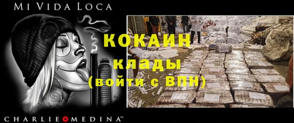 шишки Протвино