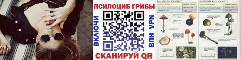 где продают наркотики  блэк спрут онион  Псилоцибиновые грибы Psilocybine cubensis  Лакинск 